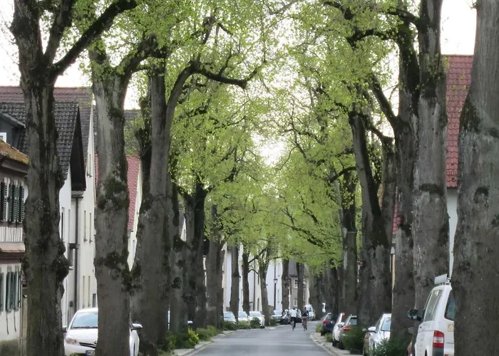 Ferien-apartment Beller